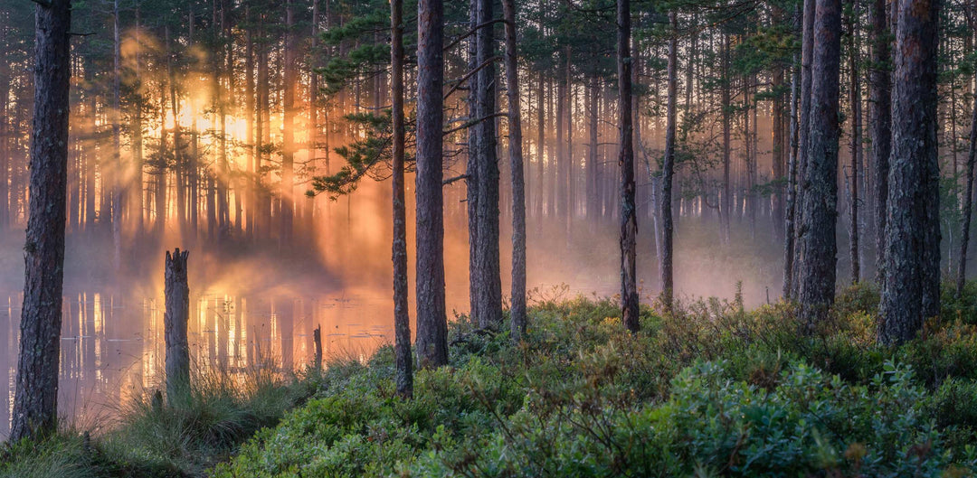 Saunan lämpö syksyn viileneviin iltoihin